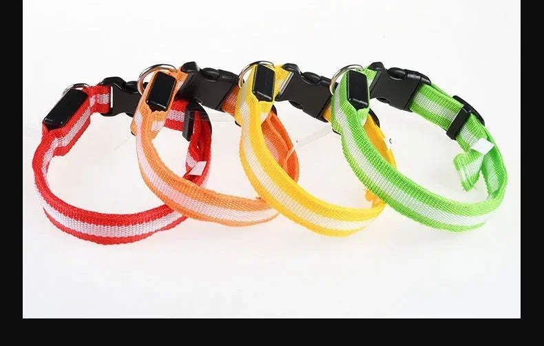 Adjustable LED dog collars in red orange yellow and green, reflective light up pet collars for night walking safety and high visibility