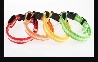 Adjustable LED dog collars in red orange yellow and green, reflective light up pet collars for night walking safety and high visibility