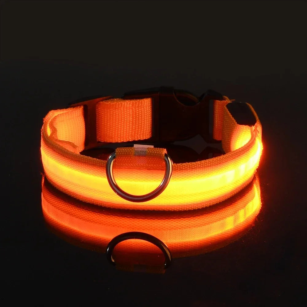 Bright orange LED dog collar glowing in dark, rechargeable light up pet collar for night visibility, safety and outdoor dog walking