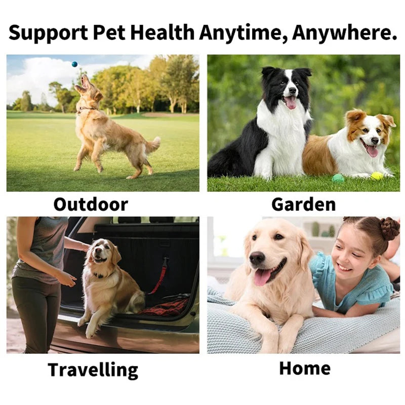 Dog oral care finger wipes for cleaning teeth at home, outdoors, travel and daily use, removing plaque and improving pet dental hygiene