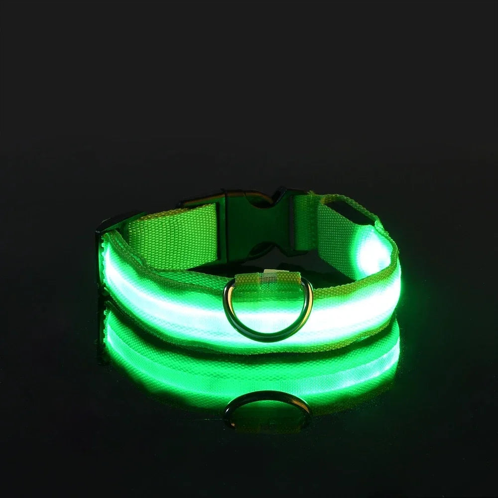 Green LED dog collar glowing in dark, rechargeable light up pet collar for night walking safety, visibility and outdoor use