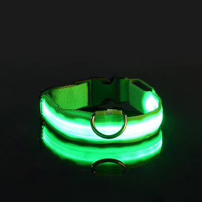Green LED dog collar glowing in dark, rechargeable light up pet collar for night walking safety, visibility and outdoor use