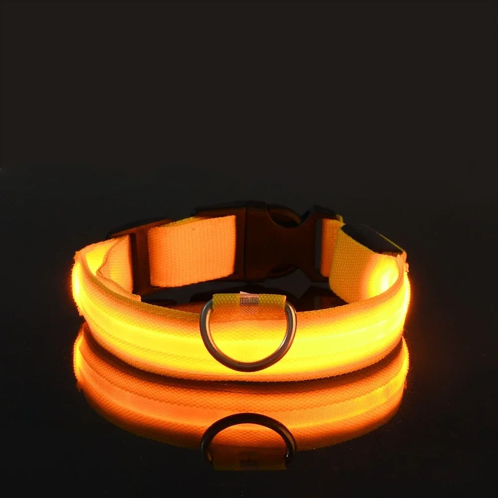 High visibility yellow LED dog collar glowing in dark, rechargeable light up pet collar for night safety and outdoor dog walking