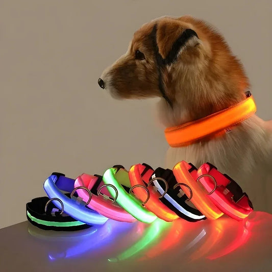 LED light up dog collars in multiple colors glowing at night, rechargeable dog collar for visibility, safety and walking dogs in low light conditions