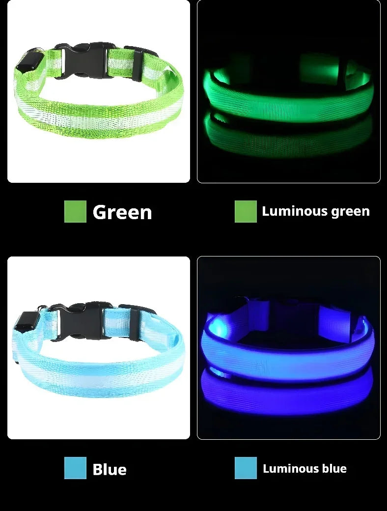 Green and blue LED dog collars glowing in dark, rechargeable light up pet collars showing color options for night walking safety and visibility