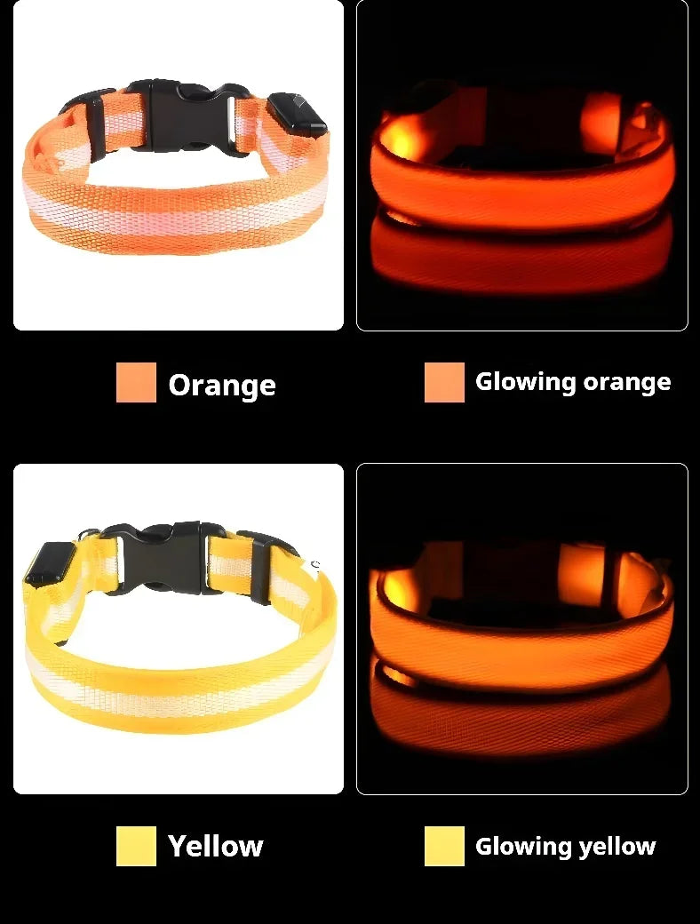 Orange and yellow LED dog collars glowing in dark, rechargeable light up pet collars showing color options for night safety and visibility
