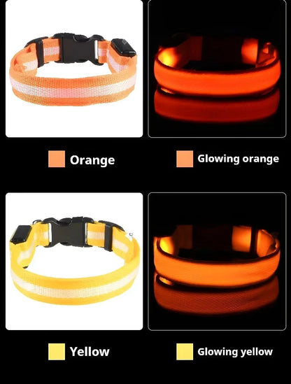 Orange and yellow LED dog collars glowing in dark, rechargeable light up pet collars showing color options for night safety and visibility
