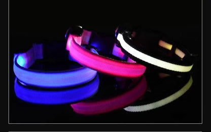 LED dog collars in blue pink and white glowing in dark, rechargeable light up pet collars for night visibility safety and outdoor walking