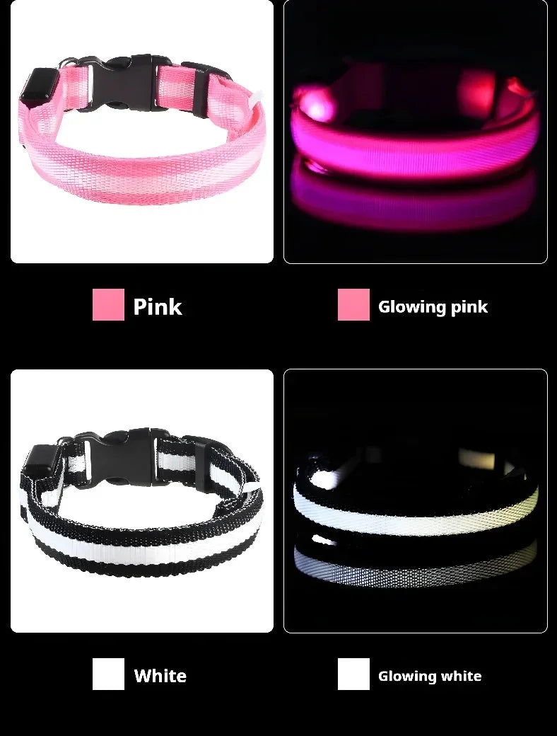 Pink and white LED dog collars glowing in dark, rechargeable light up pet collars showing color options for night walking visibility and safety