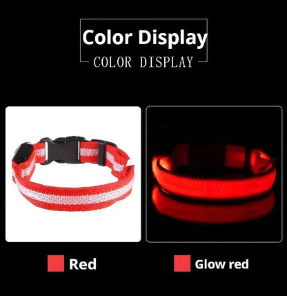 Red LED dog collar glowing in dark, rechargeable light up pet collar showing color display for night visibility and safe dog walking