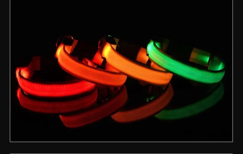 Bright LED dog collars in red orange and green glowing in dark, light up pet collars for night walking safety and high visibility outdoors