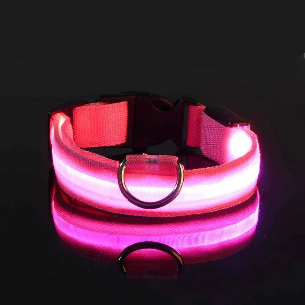 Pink LED light up dog collar glowing in dark, rechargeable pet collar for night visibility, safety and walking dogs in low light conditions