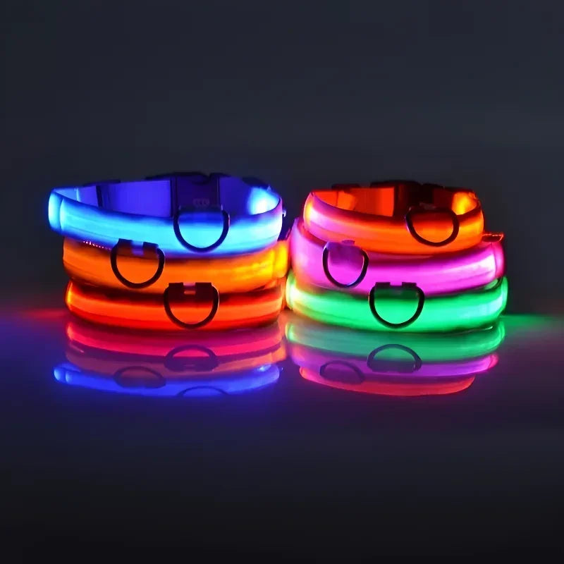 Light up LED dog collars in multiple bright colors glowing in dark, rechargeable dog collar for night walking safety and visibility