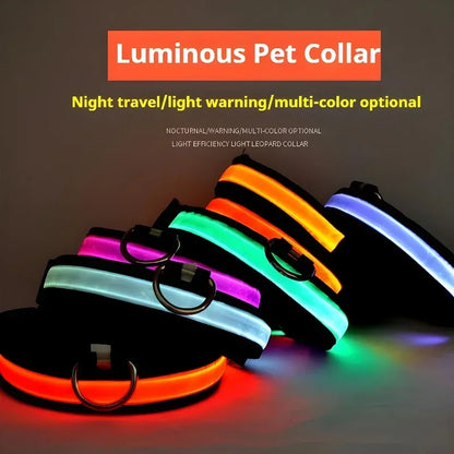 Luminous LED dog collars in multiple colors glowing in dark, rechargeable pet collar for night visibility, safety and outdoor walking