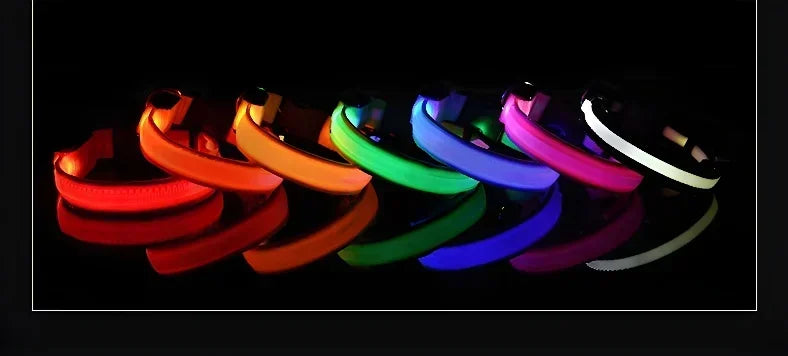 Set of multi-color LED dog collars glowing in dark, rechargeable light up pet collars for night walking safety and high visibility in low light conditions