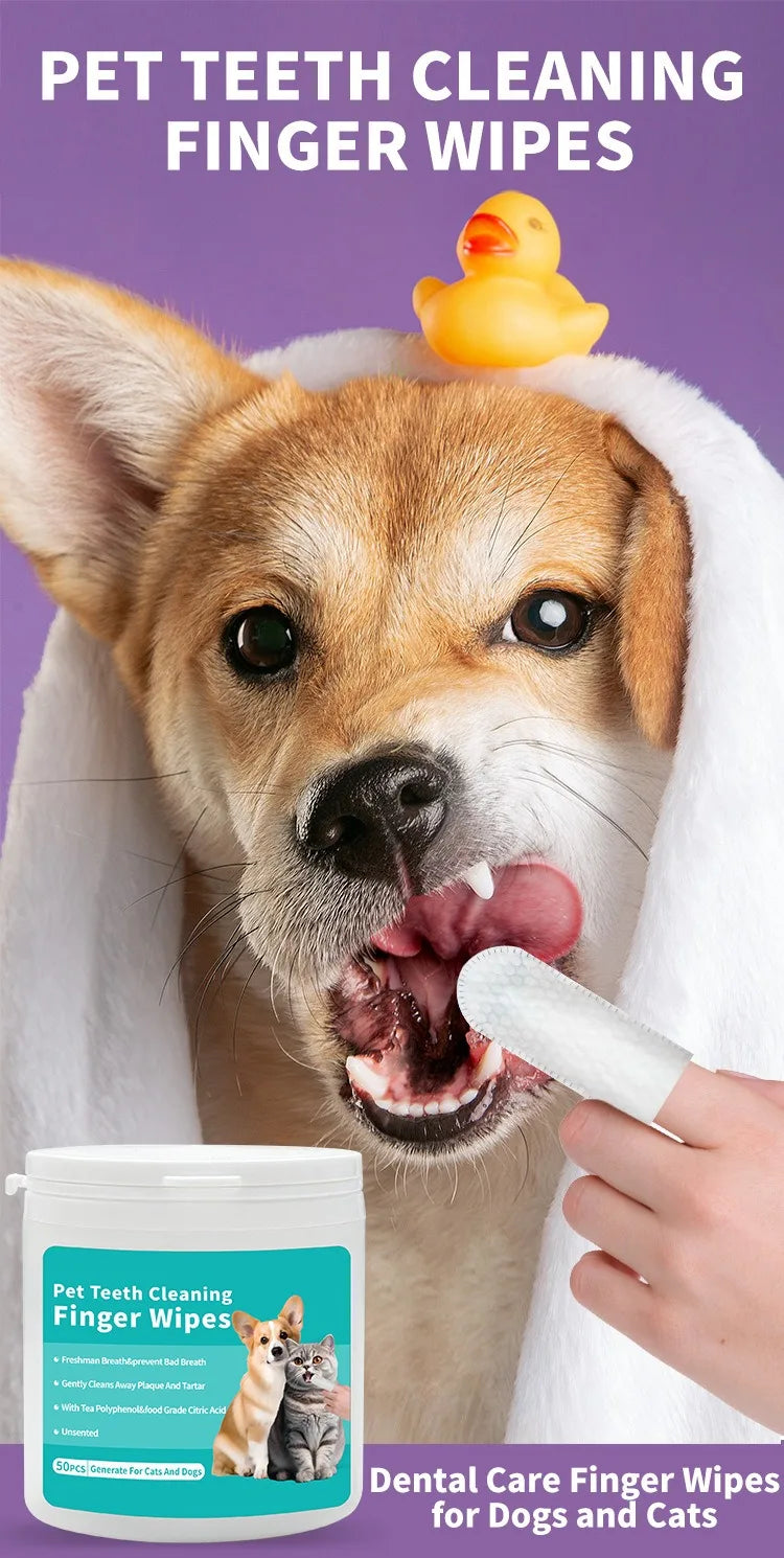 Pet dental finger wipes cleaning dog teeth with soft wipe, removing plaque, improving gum health and freshening breath for dogs and cats