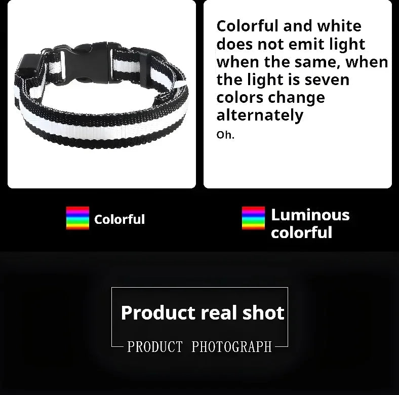 RGB LED dog collar with multi color lighting modes, rechargeable light up pet collar for night safety, visibility and outdoor dog walking