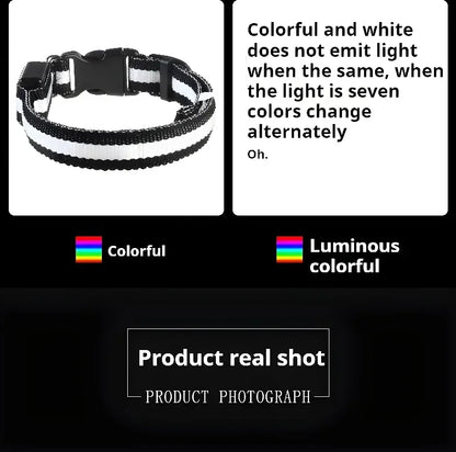 RGB LED dog collar with multi color lighting modes, rechargeable light up pet collar for night safety, visibility and outdoor dog walking