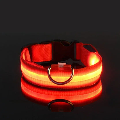 Rechargeable LED dog collar glowing red in dark, high visibility safety collar for night walking, keeping dogs visible and secure outdoors