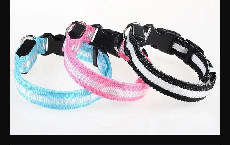 Reflective LED dog collars in blue pink and black, adjustable light up pet collars for night visibility safety and everyday dog walking