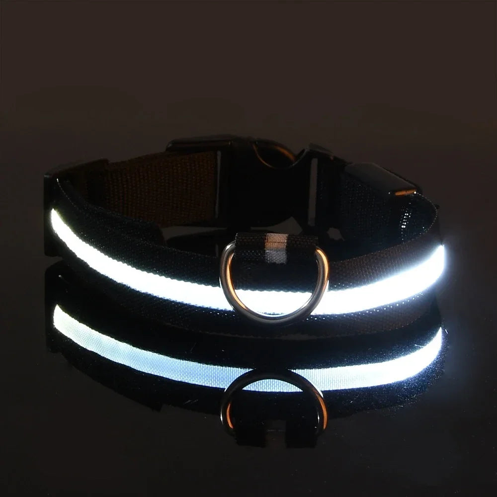 Reflective LED dog collar glowing white in dark, bright light up pet collar with metal D ring for night visibility and safe dog walking