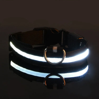 Reflective LED dog collar glowing white in dark, bright light up pet collar with metal D ring for night visibility and safe dog walking