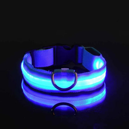 Waterproof LED dog collar glowing in dark, rechargeable light up pet collar for night walking visibility, safety and outdoor use